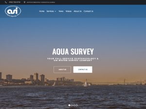 Aqu Survey Inc